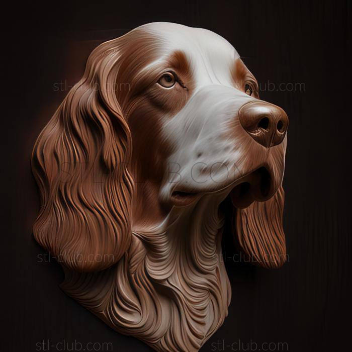 3D model st Irish Red and White Setter dog (STL)